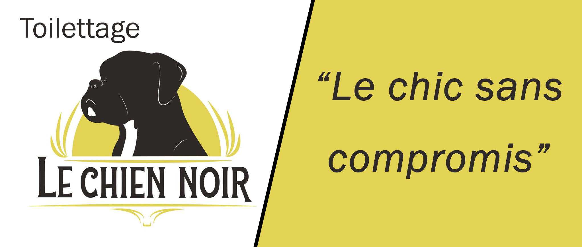 Toilettage Le chien noir